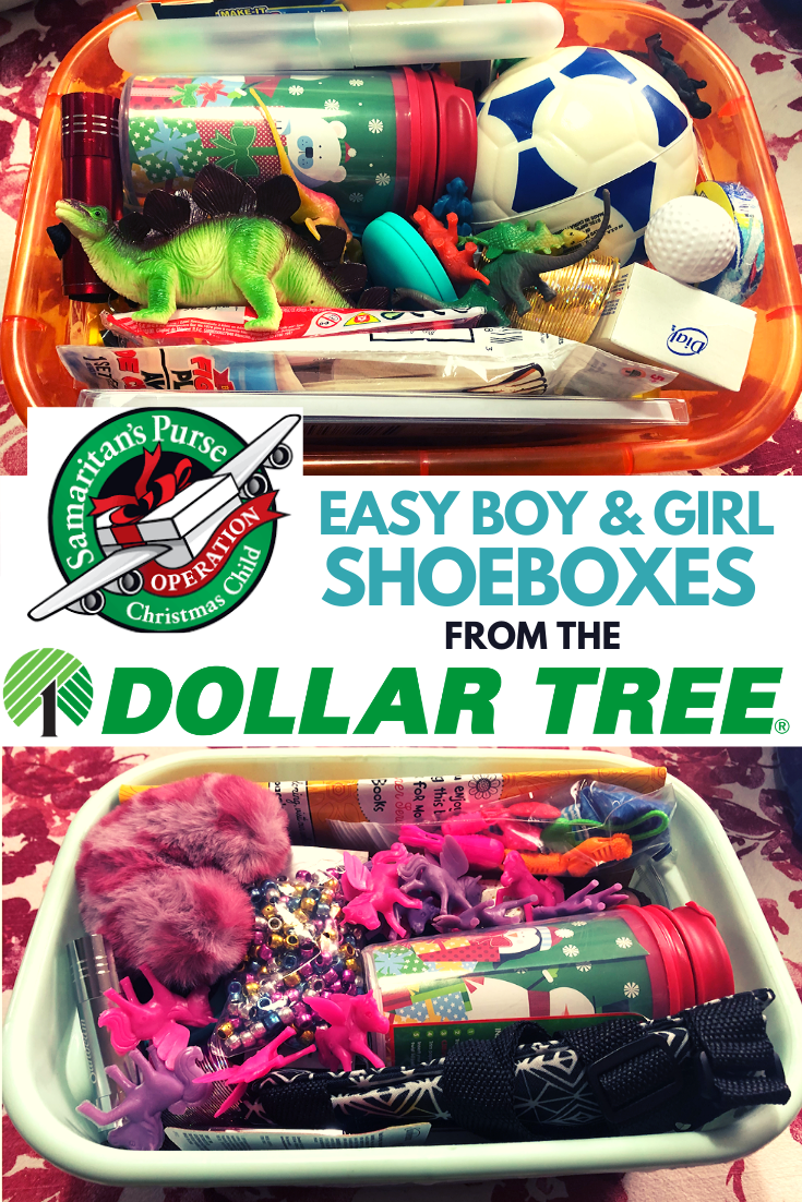 Plastic shoe discount boxes dollar tree